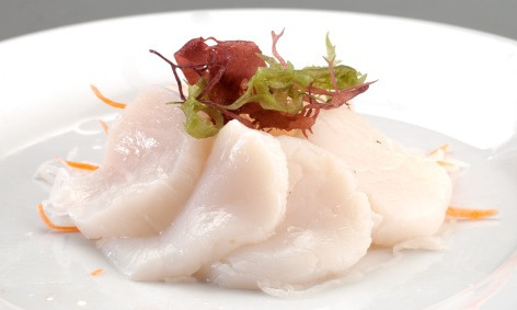 Scallop