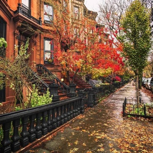 new york