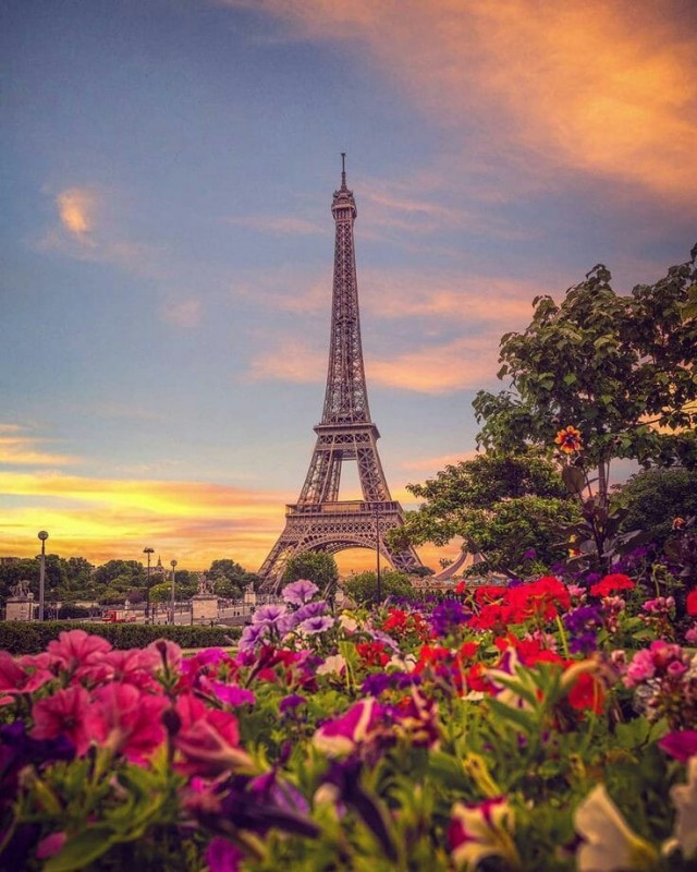 paris6