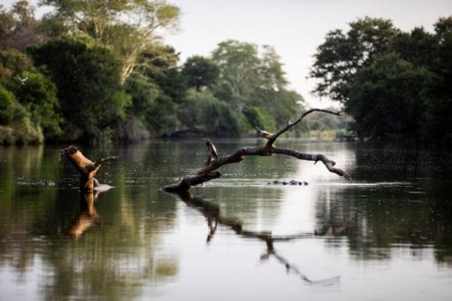 singita pamushana4