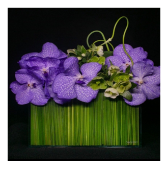 Ovando Flowers