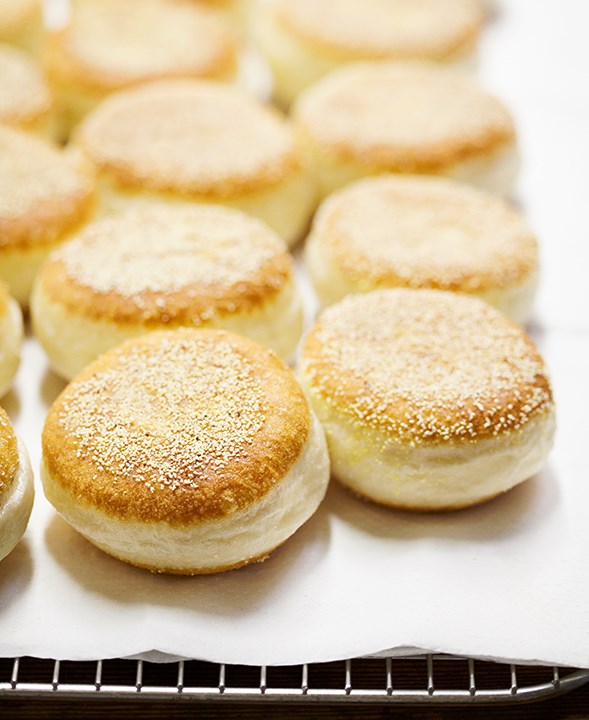 Rows of Model Bakery English Muffins on a baking tray. 