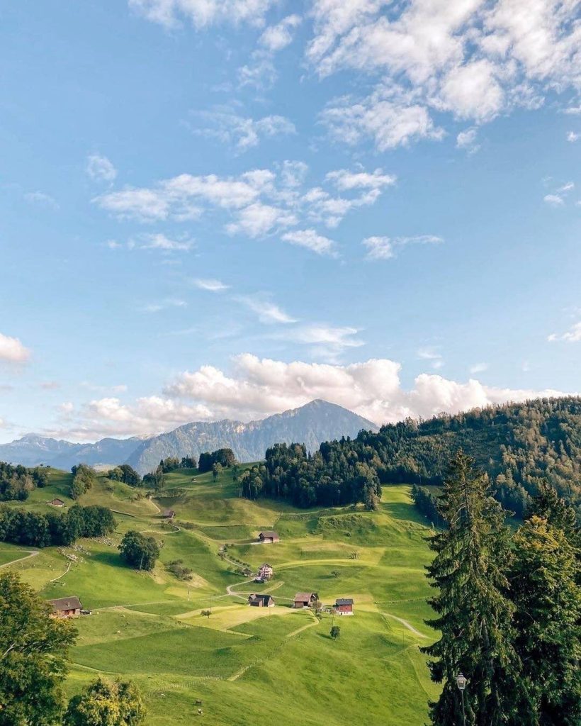 Waldhotel View